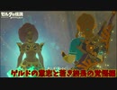 姉御！お任せください！【ゼルダの伝説 ブレス オブ ザ ワイルド】#24