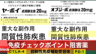 【短縮版字幕付き】鹿先生「mRNAワクチンは間質性肺炎が危ない〜オプジーボとヤーボイの併用中止のニュースの件」@kinoshitayakuhi