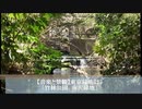 【音楽と景観】東京緑地#25｢竹林公園、南沢緑地｣