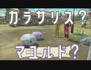 スグルさんがついに気付いてしまいました【ポケモンアルセウス実況part21】