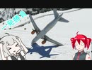 坂道飛行場【MSFS】