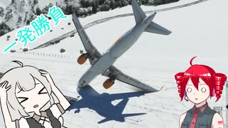 坂道飛行場【MSFS】