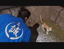 [龍が如く維新！極]第19回(19-1) 招き猫、再び