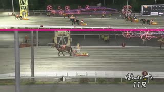 第16回カーネーションカップ ダイヤカツヒメ