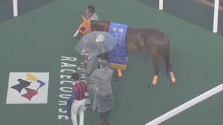 第4回利家盃【百万石賞トライアル】 ハクサンアマゾネス(レース後の口取り撮影のみ)