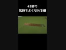 一分足らずで気持ちよくなれるMINECRAFT