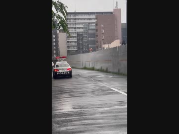 ホモと見る警察に石を投げまくる男