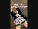 ホモと見る過酷すぎる地下アイドルのビラ配り