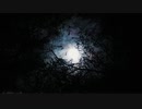 暗くて素敵 Dark and nice 【BGM】