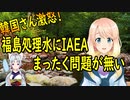 【韓国の反応】福島原発処理水について、IAEAからまったく問題が無いと発表され韓国さが激怒【世界の〇〇にゅーす】