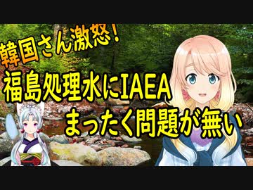 【韓国の反応】福島原発処理水について、IAEAからまったく問題が無いと発表され韓国さが激怒【世界の〇〇にゅーす】