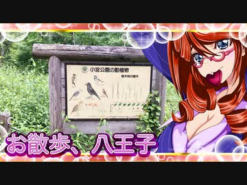 お散歩_八王子⑦