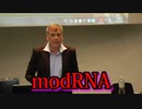 RNAワクチンは、厳密にはmRNAを含んでおらず、健康なヒトの細胞を遺伝子操作（GMO）するmodRNAを含んでいる