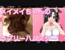 メイメイのハムスターの日常。43