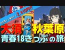 【格安旅行】大須から東京まで18きっぷで往復してみた【名古屋に詳しいVtuberイェン円の名古屋を知れる動画】