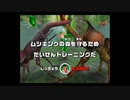 甲虫王者ムシキング　対戦動画㊶