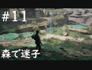 【STAR WARS ジェダイ:サバイバー】実況#11 惑わせる大地
