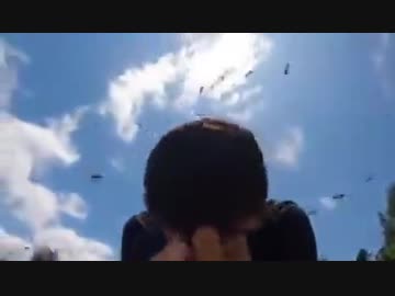 ホモと見る興奮する蜂をしゃがんでやり過ごそうとする男