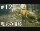 【STAR WARS ジェダイ:サバイバー】実況#12 森の奥へ