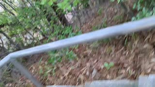 【心霊、墓地】#1  兵庫県　ゼロ戦墓地