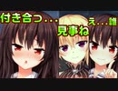 【ニャー】#25　これからクライマックスなのに横槍が入った【ノラと皇女と野良猫ハート】