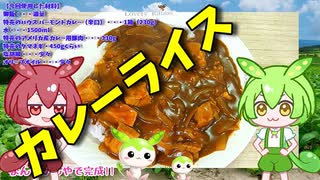 【VOICEVOX ずんだもん】  今日は特売!!  カレー用豚肉を使って辛口の「カレーライス」を作るのだ!!