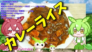 【VOICEVOX ずんだもん】  今日は特売!!  カレー用豚肉を使って辛口の「...