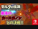 【ゼルダの伝説ブレスオブザワイルド実況】3Dで広大な世界を自由に走り回れる楽しさをおすそ分け！？part81