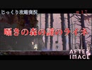 【AFTERIMAGE】第17回　囁きの森の謎のライネ　じっくり攻略実況　アフターイメージ