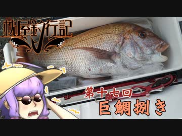 枕屋釣行記　#17　巨鯛捌き【カヤックフィッシング＆船釣り】　