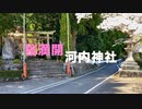 【Voicepeak】　りりせ＆フリモメンと行く神社巡り〜周防山代〜桜満開の明神原と滑「河内神社」岩国市美和町