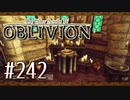 実況 ◇ The Elder Scrolls IV: オブリビオン ◇ 第242幕