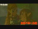 最後の思い出っていうには嫌な思いで過ぎない？【ゼルダの伝説 ブレス オブ ザ ワイルド】#26