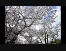 【歌ってみた】ギターと孤独と蒼い惑星 / cover by Maru