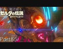 【プレイ動画】自由に駆け巡るゼルダの伝説ブレスオブザワイルド Part85