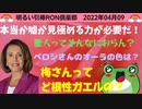 2022/04/09 □ ハジける特派員！！梅さんって誰？？　□引棒RON倶楽部 2022