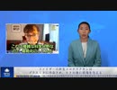 ファイザーの新型コロナワクチンはプラスミドに汚染され、ヒトの腸に損傷を与える