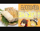 【ゆっくり解説】エノキの実の栄養について解説！