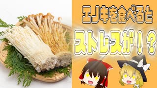 【ゆっくり解説】エノキの実の栄養について解説！