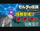 【ゼルダの伝説ブレスオブザワイルド実況】3Dで広大な世界を自由に走り回れる楽しさをおすそ分け！？part84