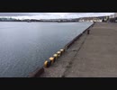 ぶらり散歩　#110　2023/5/10
