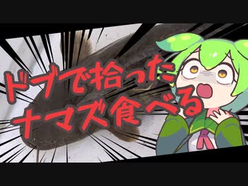 お腹がすいたらナマズを釣ればいいじゃない