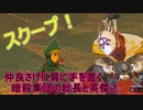 【ブレワイ】依頼を受けて、巨タマで遊んでいたらコーガ様がおかしくなった【ドリカラ】【ボイスピ実況,ゼルダの伝説ブレスオブザワイルド,BotW,ゼル伝】