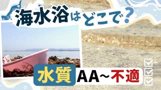 海水浴場の「水質調査」は何を調べる？糞便汚染や汚濁でランク付け