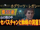 【山の闇の中（中編）】ホグワーツ・レガシー こつこつ実況 第59夜
