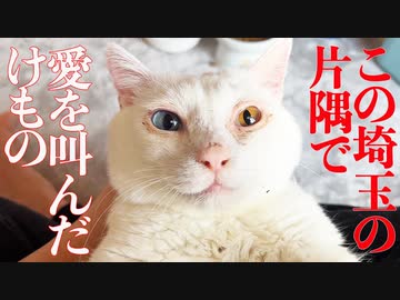 埼玉の片隅で愛を叫んだけもの