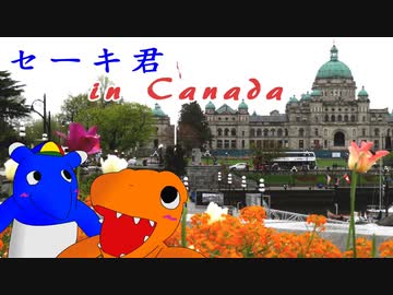 セーキ君 in カナダ