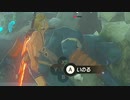 【ブレワイ】依頼を受けて、盾を持ったボコブリンをネルドラに接触させてみた【ドリカラ】【ボイスピ実況,ゼルダの伝説ブレスオブザワイルド,BotW,ゼル伝】