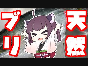 【北陸きりたん】天然ブリをさばいて食べるよ！【家庭料理祭2023】