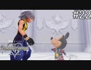 （なんかちょっと透けてるなぁ…）【キングダムハーツ Re.チェインオブメモリーズ】#22